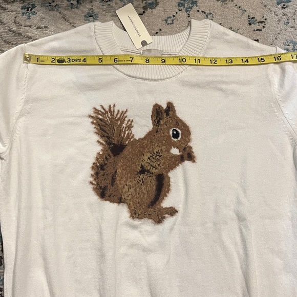 NWT Anthro Maeve Textured Squirrel Icon Sweater - Picture 7 of 16